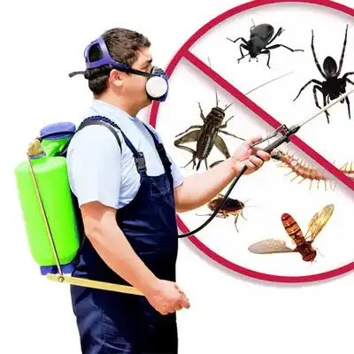pest control Tipton